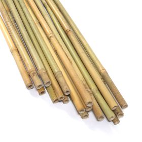 40PC 4FT Natural bamboo plant climbing stakes helps plant growth and beautifies the space